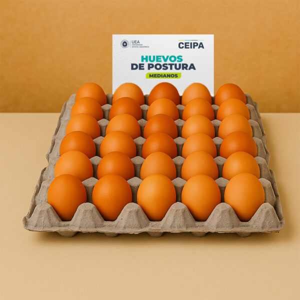 CUBETA DE HUEVOS PONEDORAS - Imagen 2