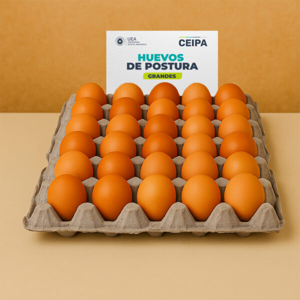 CUBETA DE HUEVOS PONEDORAS