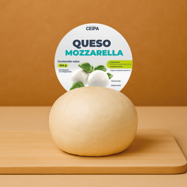 QUESO MOZZARELLA