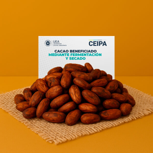 CACAO BENEFICIADO MEDIANTE FERMENTACION Y SECADO