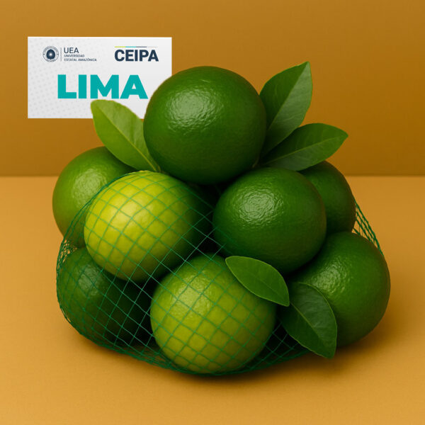 LIMA