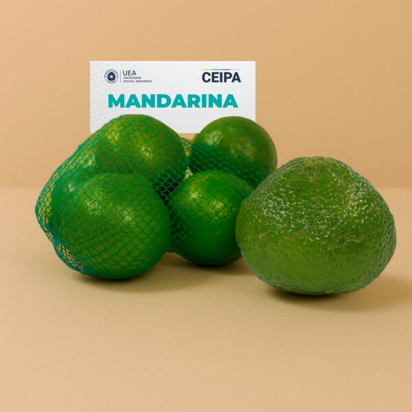 MANDARINA