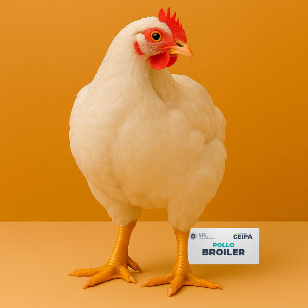 POLLOS BROILER EN PIE