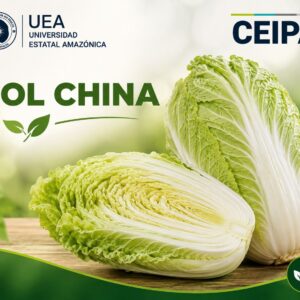 Col China - Por Unidad