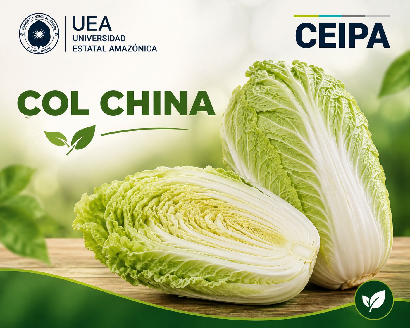Col China - Por Unidad